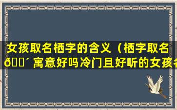 女孩取名栖字的含义（栖字取名 🌴 寓意好吗冷门且好听的女孩名字有哪些）